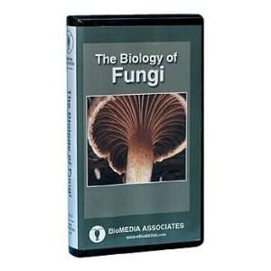 Branches on the Tree of Life: Fungi DVD:  Industrial 