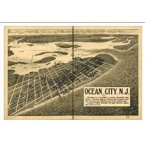  Historic Ocean City. New Jersey, c. 1903 (L) Panoramic Map 