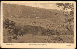 indonesia, BALI, Sawah near Kampong Gesing (1920s) EAG  