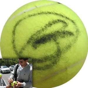  Novak Djokovic Autographed Tennis Ball   Autographed 