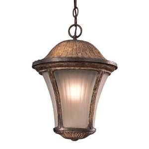  Amarante Outdoor Hanging Lantern in Amarante Gold   Energy 