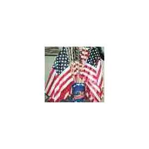  DD Discounts 155537 Made In Usa American Flags  12X18 Inch 