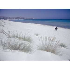  Raf Raf Beach, North Coast, Tunisia, North Africa, Africa 