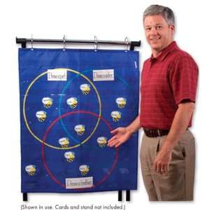    Carson Dellosa Triple Venn Diagram Pocket Chart: Toys & Games