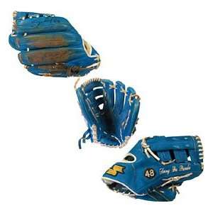   Autographed / Signed Game Used SSK Fielding Glove 