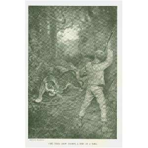  1897 Hunting Big Game in Africa India Venezuela 