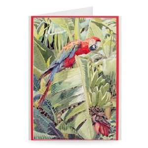 Jungle Parrot (w/c on paper) by Felicity   Greeting Card (Pack of 2 