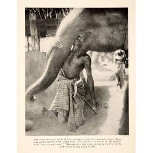  1933 Print India Speaks Halliburton Elephants Symbolism 