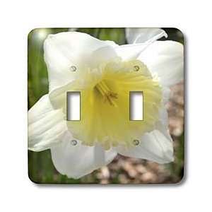 Patricia Sanders Flowers   White Daffodil  Spring Flowers  Photography 