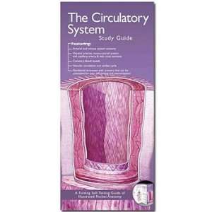 Circulatory System Study Guide  Industrial & Scientific