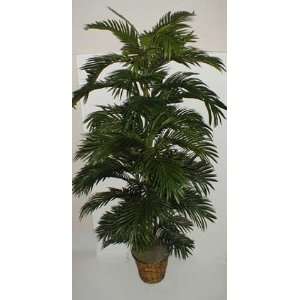 Areca Palm Tree **SPECIAL $88.76**