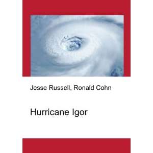 Hurricane Igor Ronald Cohn Jesse Russell  Books