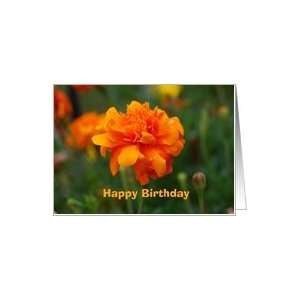  Happy Birthday, Marigold, October Birth Flower Card 