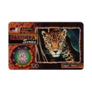   Jaguar   Belize (Panthera Series Big Cats of The Wild) Everything