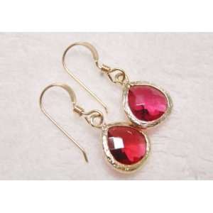 Fuchsia Pink Framed Drop Gold Filled French Hoop Earrings   The 