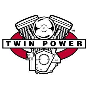  Twin Power Oil Pump Check Valve Ball 160465040: Automotive