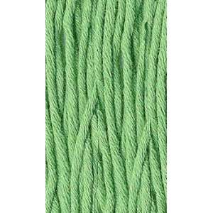   Classic Elite Cotton Bam Boo Trellis Green 3620 Yarn: Home & Kitchen