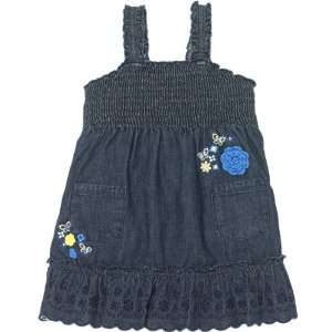   The Childrens Place Girls Embroidered Denim Dress Sizes 6m   4t: Baby