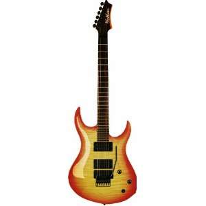   Guitar with Floyd Rose, Flame Black Burst Musical Instruments