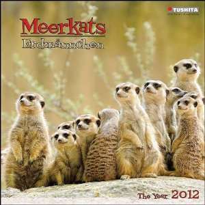  Meerkats 2012 Wall Calendar