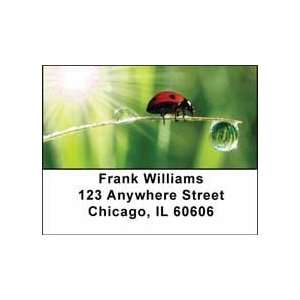  Ladybugs Address Labels: Office Products