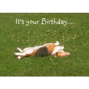  Beagle Birthday Card (Funny): Health & Personal Care