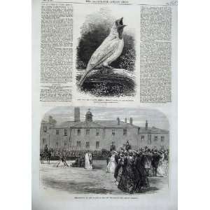  Bell Bird America 1866 Salford Barracks Presentation