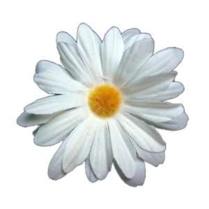  NEW Ivory 3 in. Daisy Hair Flower Clip, Limited. Beauty