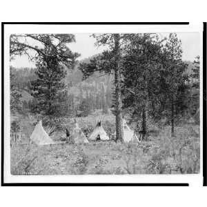  Spokane Indians,camp,5 tipis,tent,clearing among pine 