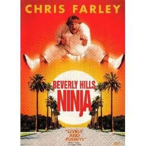  Beverly Hills Ninja Movie Poster 2ftx3ft