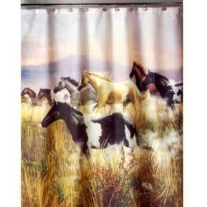  Band of Thunder   Shower Curtain