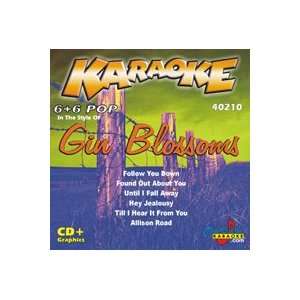 Karaoke: Gin Blossoms: Music