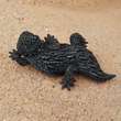 THORNY LIZARD Small Buffalo HORN Carving Pendant Hand carved in Bali 2 