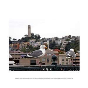  San Francisco Seen From the Bay 10.00 x 8.00 Poster Print 