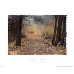  Silent Path Finest LAMINATED Print Barbara Kalhor 30x24 