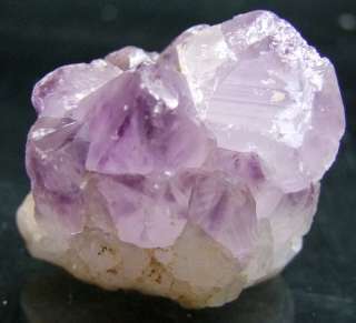 Color  Purple (As shown)