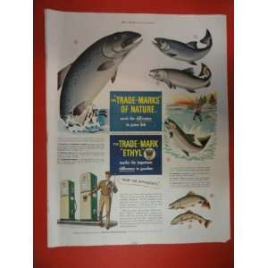 Ethyl,trade mark,gasoline. 1950 Print Ad (fish) Orinigal Vintage Post 