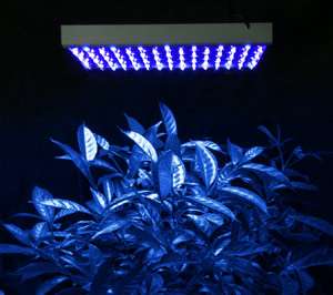 ALL BLUE 225 LED GROW LIGHT PANEL STIMULATE GROWTH LAMP  