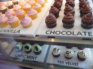 Gourmet Cupcake Bakery Start Up Sample Business Plan!  