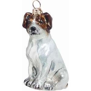 Blown Glass Jack Russell Christmas Ornament: Home 