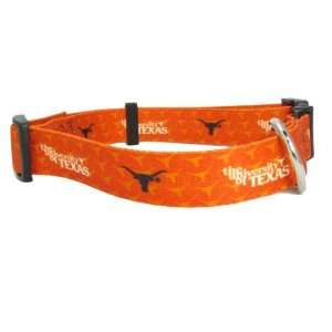  Texas Longhorns Large Dog Collar: Pet Supplies