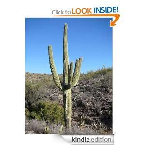  Tex Mex Food: The Ultimate Collection of the Worlds Finest Tex 