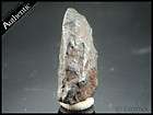 8g. Canyon Diablo  Iron Meteorite  IAB w/case #mm55  