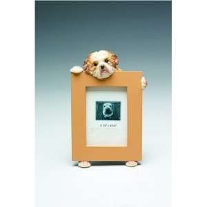  Shih Tzu Tan & White Puppy Cut Dog Picture Frame 2 1/2 X 