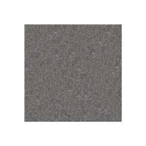   Aladdin Sensational Color Cloudburst Carpet Flooring