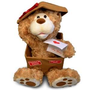  11 Next Day Bear Animated Plush Teddy Toys & Games