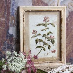  Shabby Cottage Chic Floral Print Wall Art B174: Home 