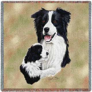 20.Bord Collie