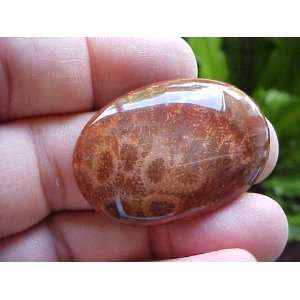  Zs3517 Gemqz Agate Coral Oval Cabochon Large Indonesia 