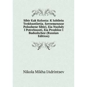   in Russian language) (9785874080426) Nikola Mikha IAdrintsev Books